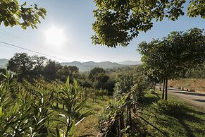 Tenuta D'Amore