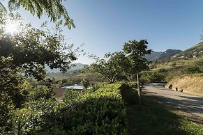 Tenuta D'Amore