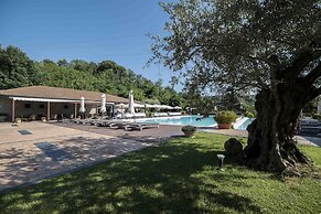 Tenuta D'Amore