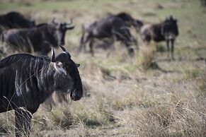 Mara Ngenche Safari Camp