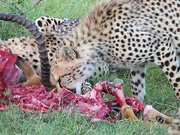 Mara Ngenche Safari Camp