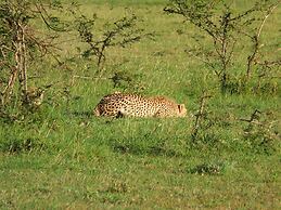 Mara Ngenche Safari Camp