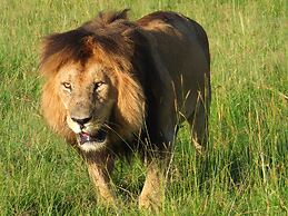 Mara Ngenche Safari Camp