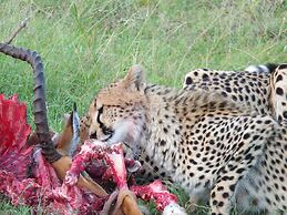Mara Ngenche Safari Camp