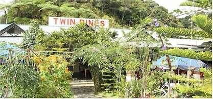Twin Pines