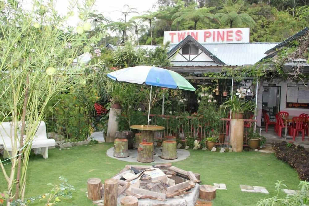 Twin Pines