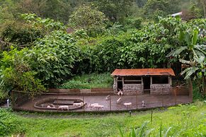 Rancho Margot