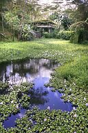 Rancho Margot