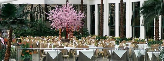 Hot Spring Hotel