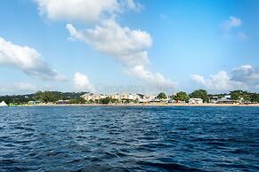 The Harbour