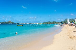 The Harbour