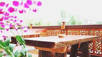 The Orchid House