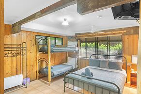 Atherton Blue Gum