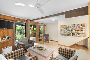 Atherton Blue Gum
