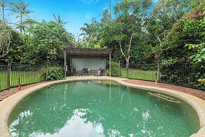 Atherton Blue Gum