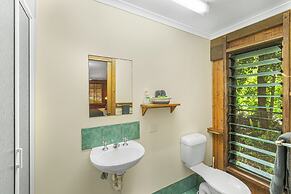 Atherton Blue Gum