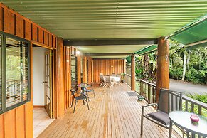 Atherton Blue Gum