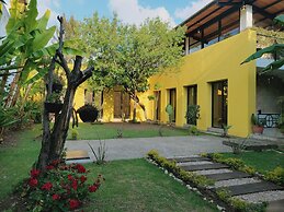 Jardines de Luz