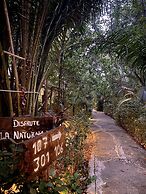 Piedra de Agua Hotel Boutique Palenque