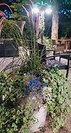 Hotel B&B Des Bains