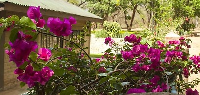 Woodlands Lilongwe