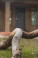 Woodlands Lilongwe