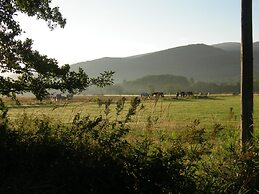 Mas d'Aravó