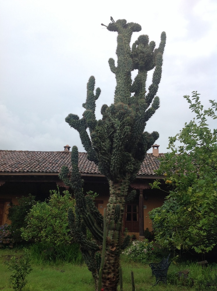 Meson de San Antonio