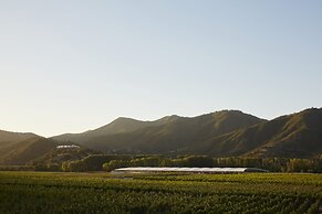 Vik Chile