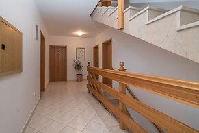 Apartments Vojin