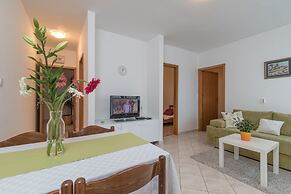 Apartments Vojin