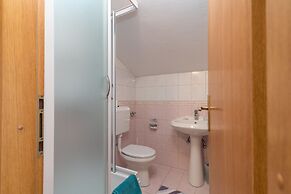 Apartments Vojin