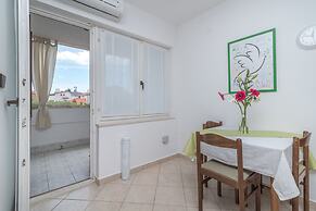 Apartments Vojin