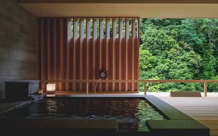 Hakone Pax Yoshino