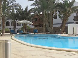 Dahab Divers