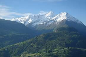 Le Vieux Noyer