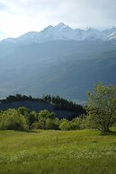 Le Vieux Noyer