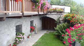 Le Vieux Noyer