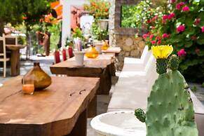 Pitahaya Home