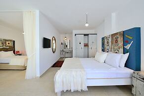 Pitahaya Home