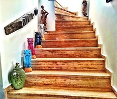 Pitahaya Home