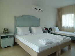 Pitahaya Home