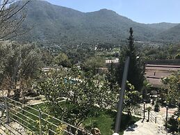 Pitahaya Home