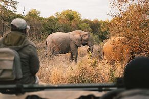 Simbavati River Lodge