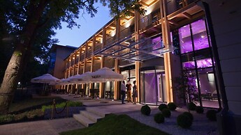 Bristol ART & Medical SPA