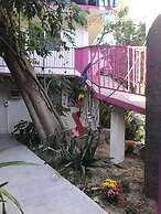 Hotel Posada Señor Mañana