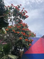 Hotel Posada Señor Mañana