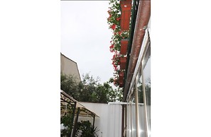 Hotel Dalmazia