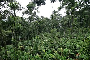 Spice Jungle Resort