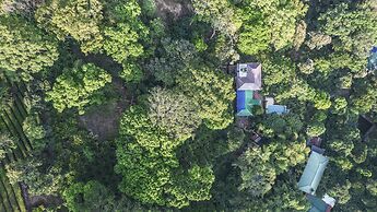 Spice Jungle Resort